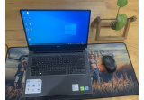 Dell Inspiron N7460