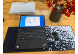 Lenovo Thinkpad T490