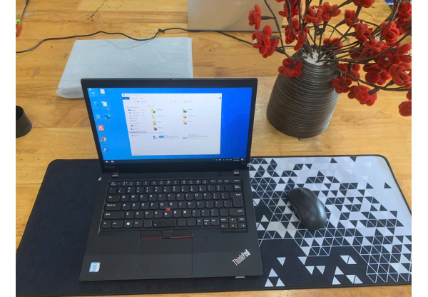 Lenovo Thinkpad T490