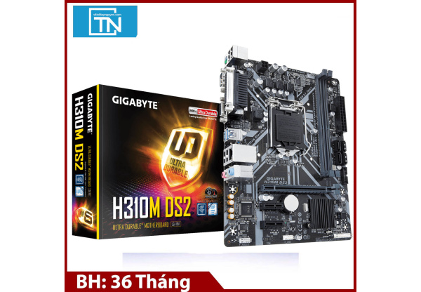  Mainboard Gigabyte H310M-DS2