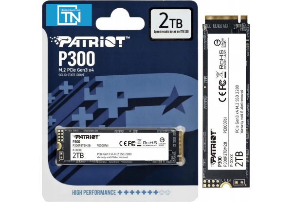 Ổ cứng SSD Patriot P300 2TB NVMe (P300P2TBM28)